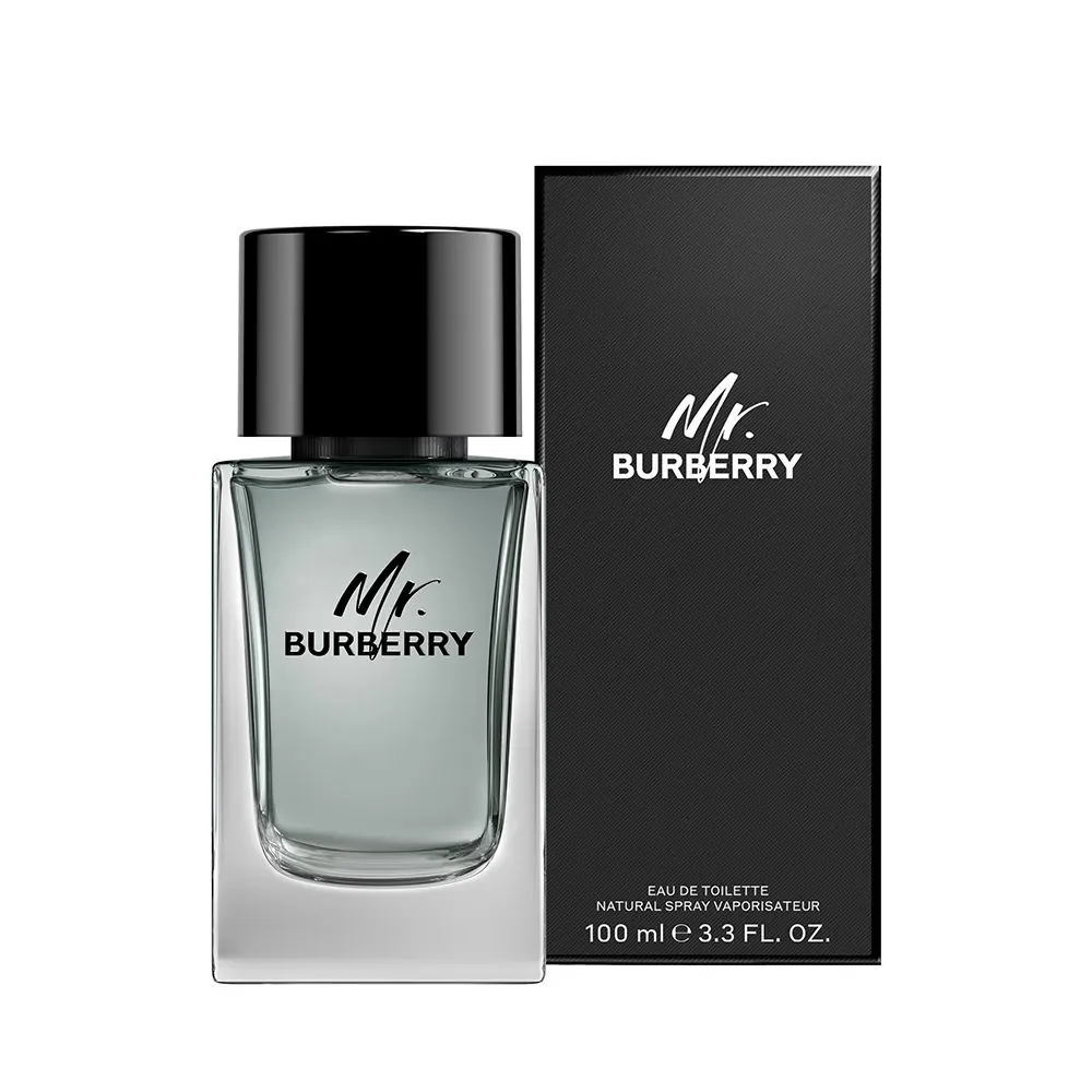 MR. BURBERRY edt vapo 100 ml