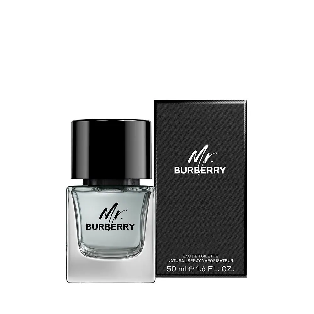 MR. BURBERRY edt vapo 50 ml